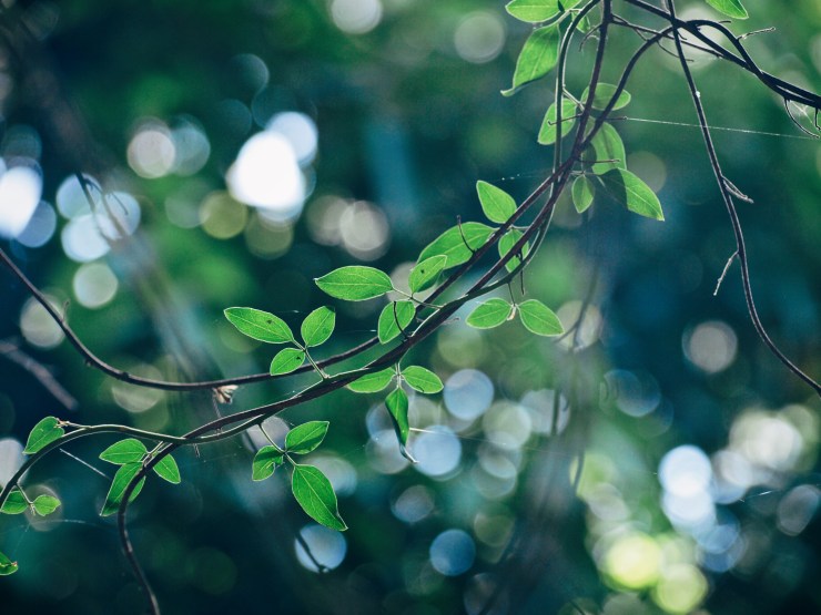 Processed with VSCO with e1 preset