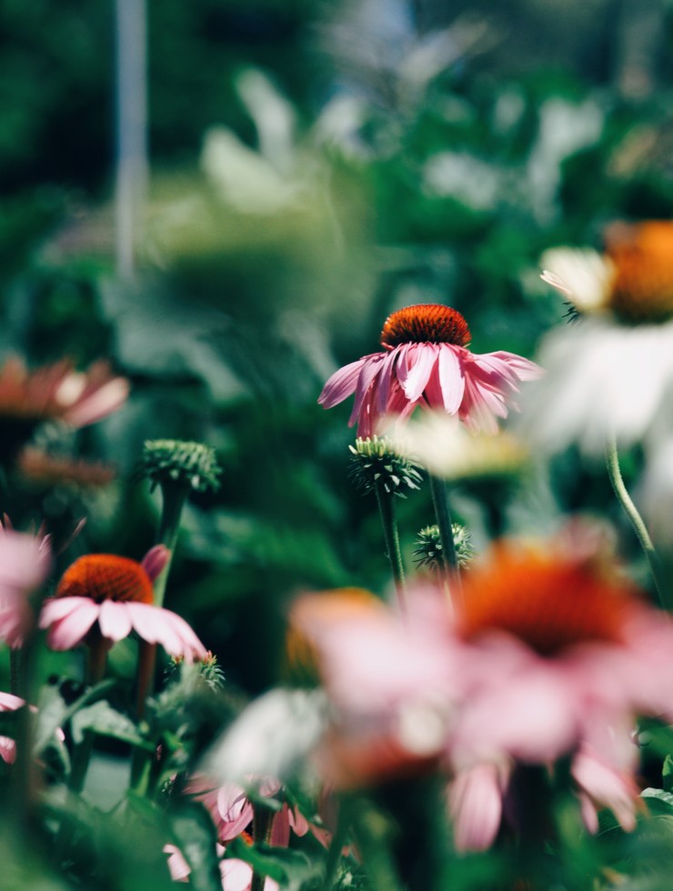 Processed with VSCO with e3 preset