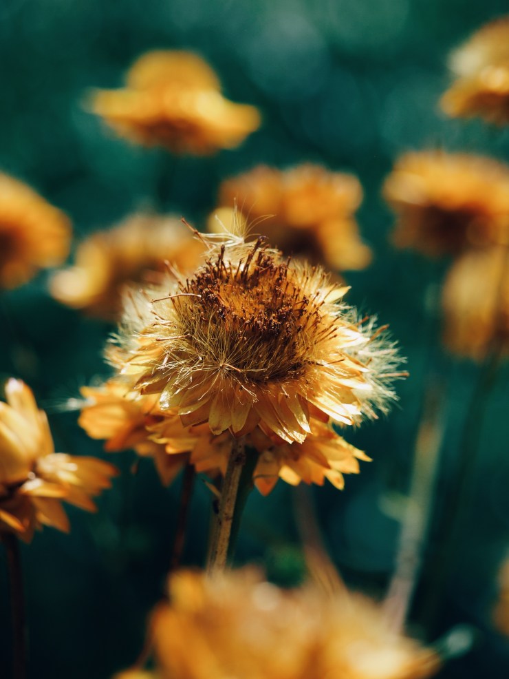 Processed with VSCO with e3 preset