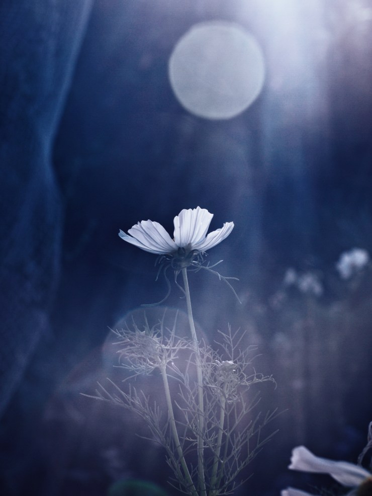 Processed with VSCO with j3 preset