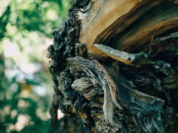 Processed with VSCO with e3 preset