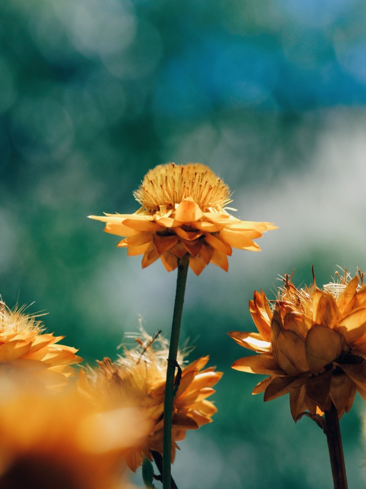 Processed with VSCO with e3 preset