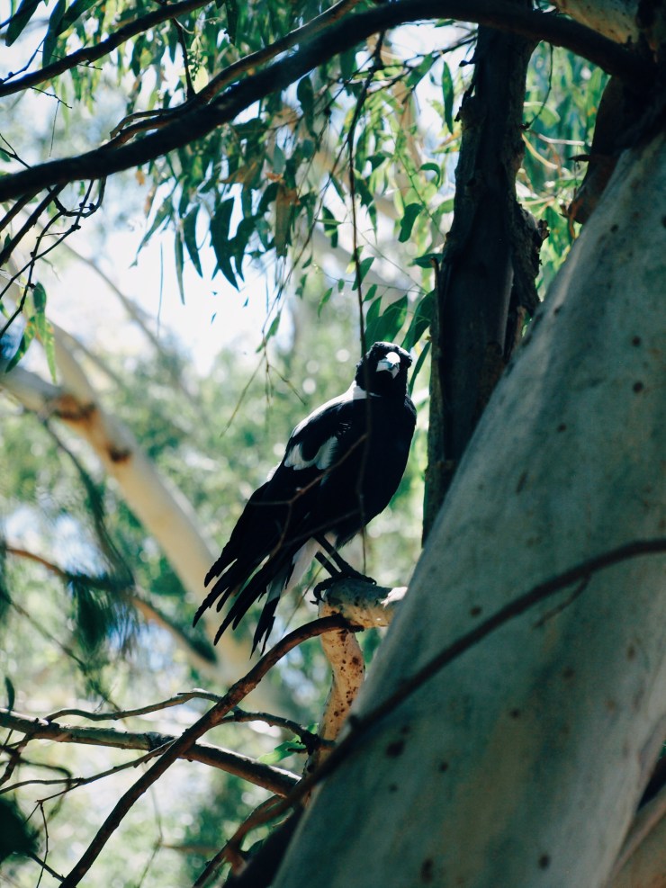 Processed with VSCO with e3 preset