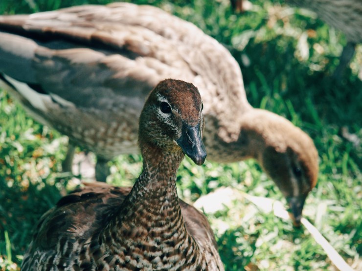 Processed with VSCO with e3 preset