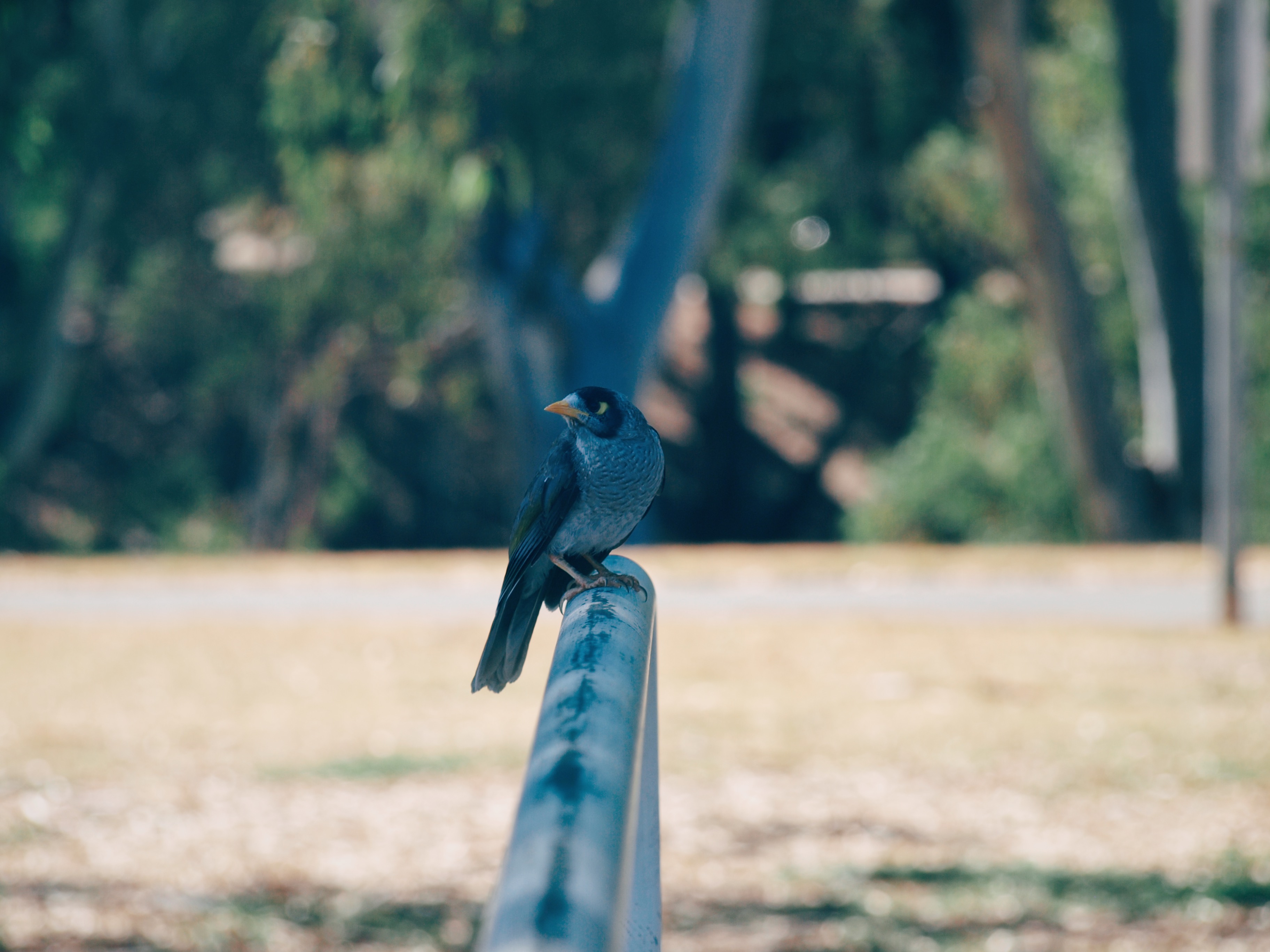 Processed with VSCO with e3 preset