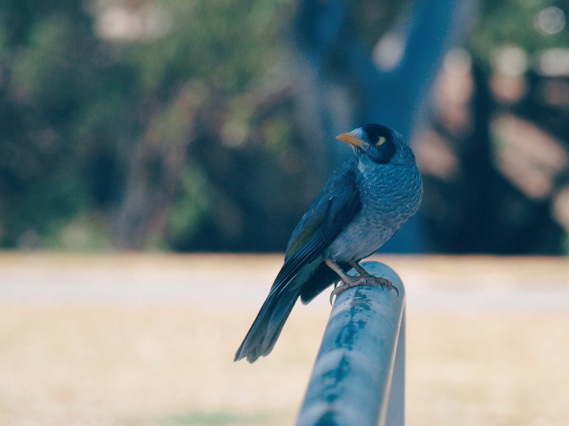 15c0c4f5-4769-4b6b-ba7c-637490c21e27