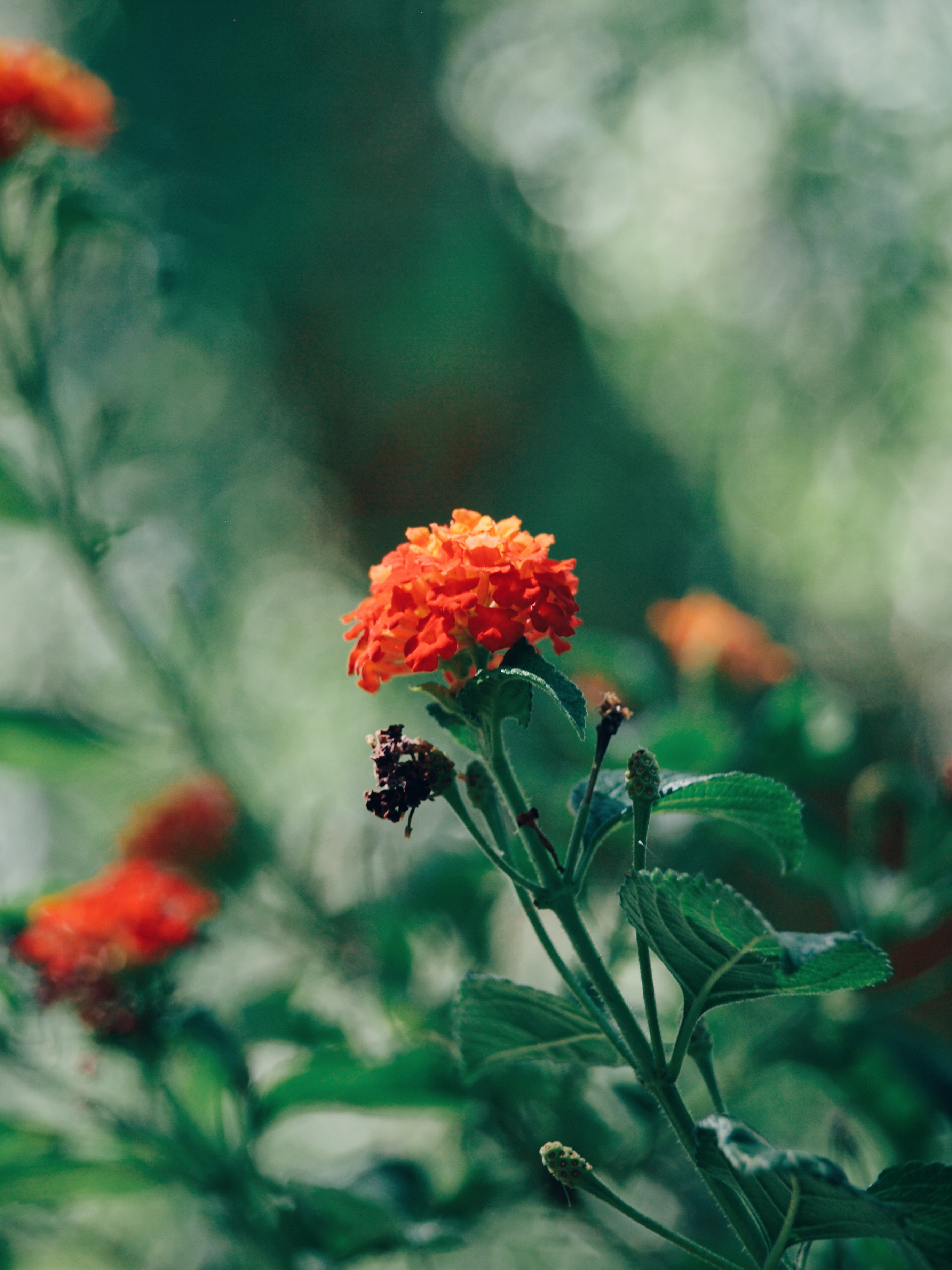 Processed with VSCO with e3 preset