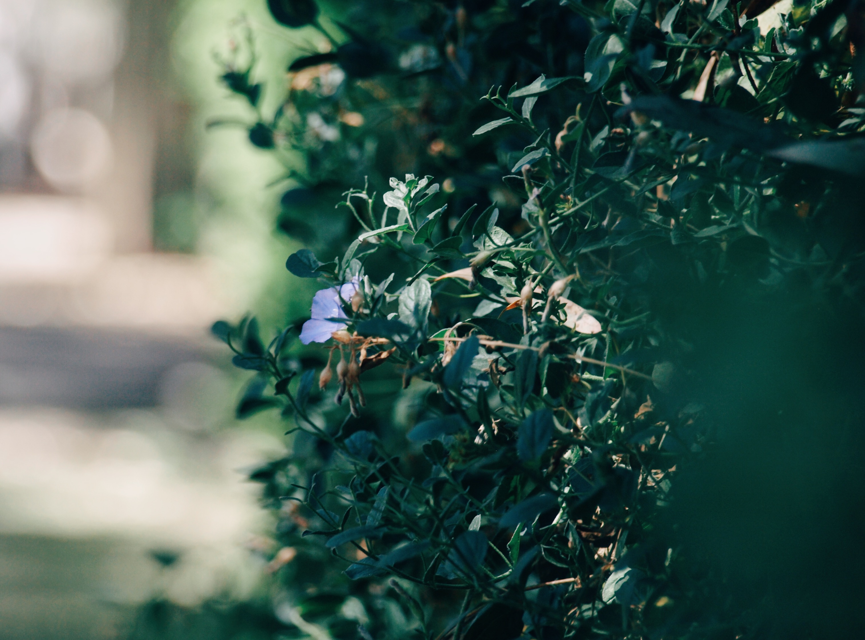 Processed with VSCO with e3 preset