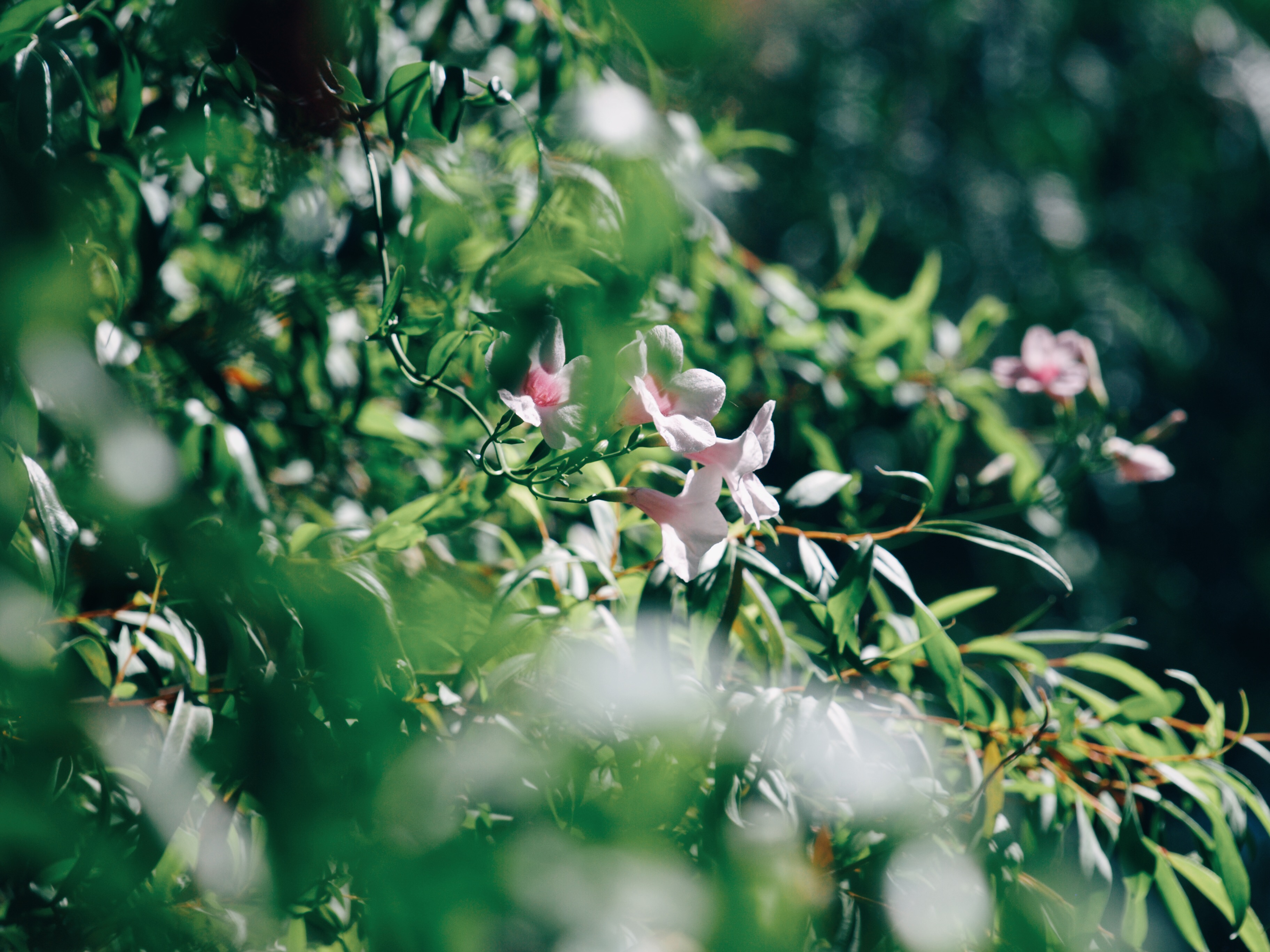 Processed with VSCO with e3 preset