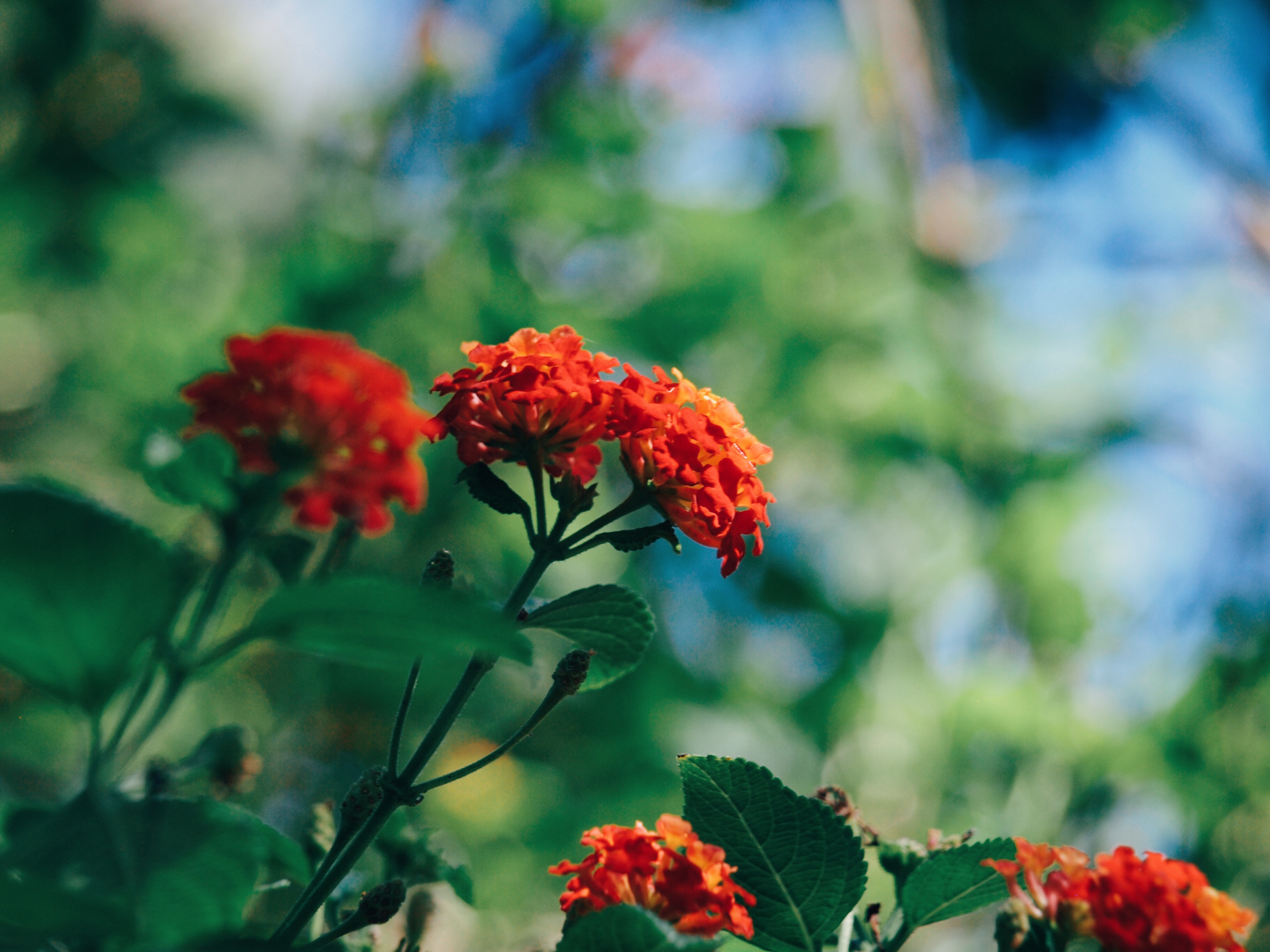 Processed with VSCO with e3 preset