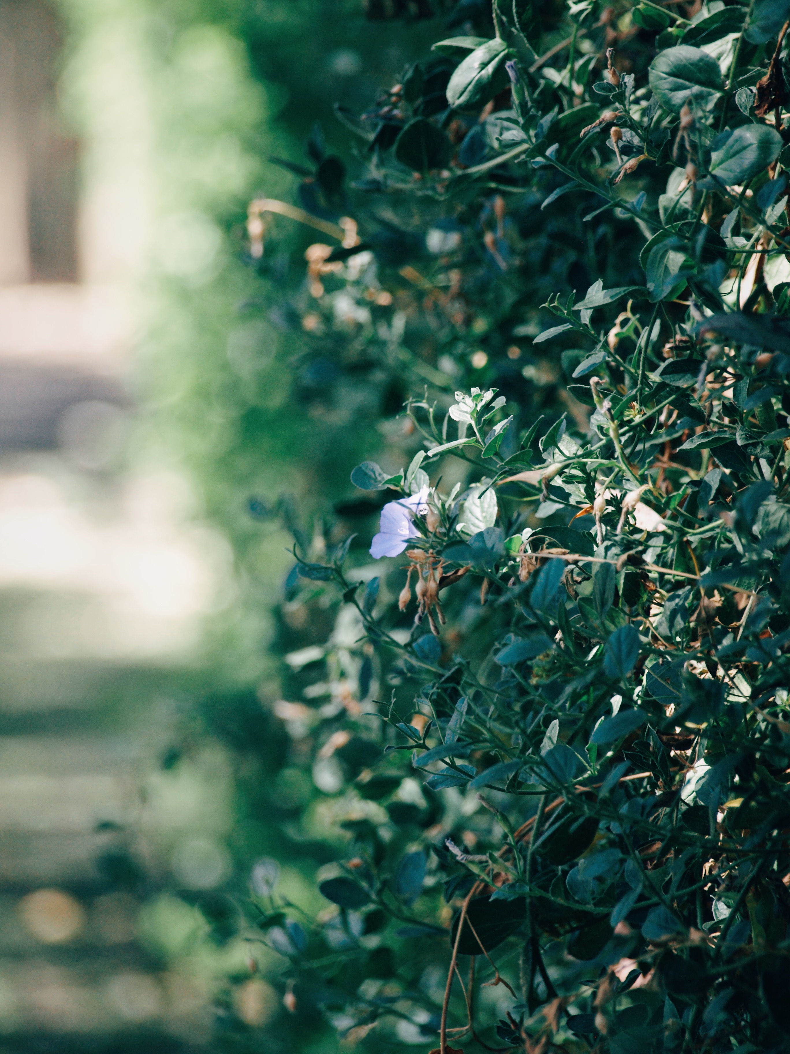 Processed with VSCO with e3 preset