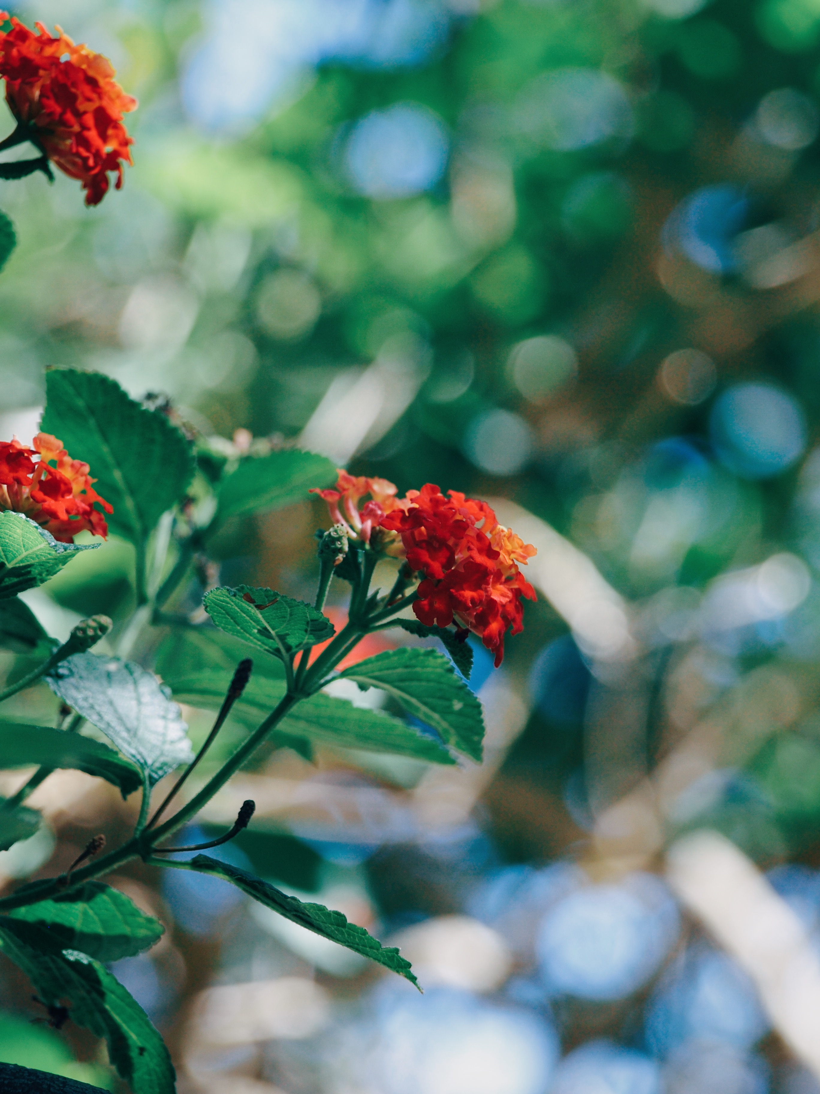 Processed with VSCO with e3 preset