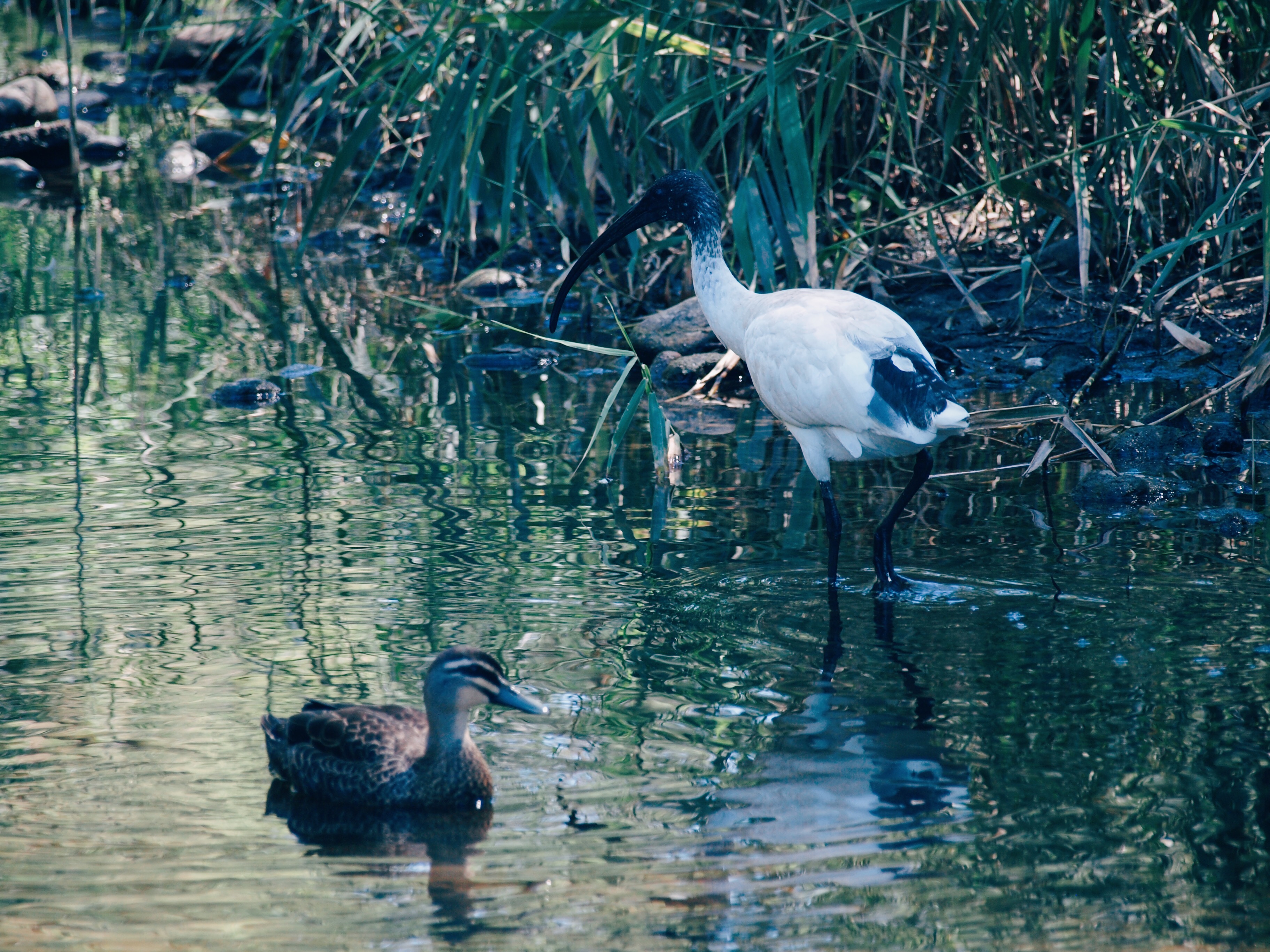 Processed with VSCO with e3 preset