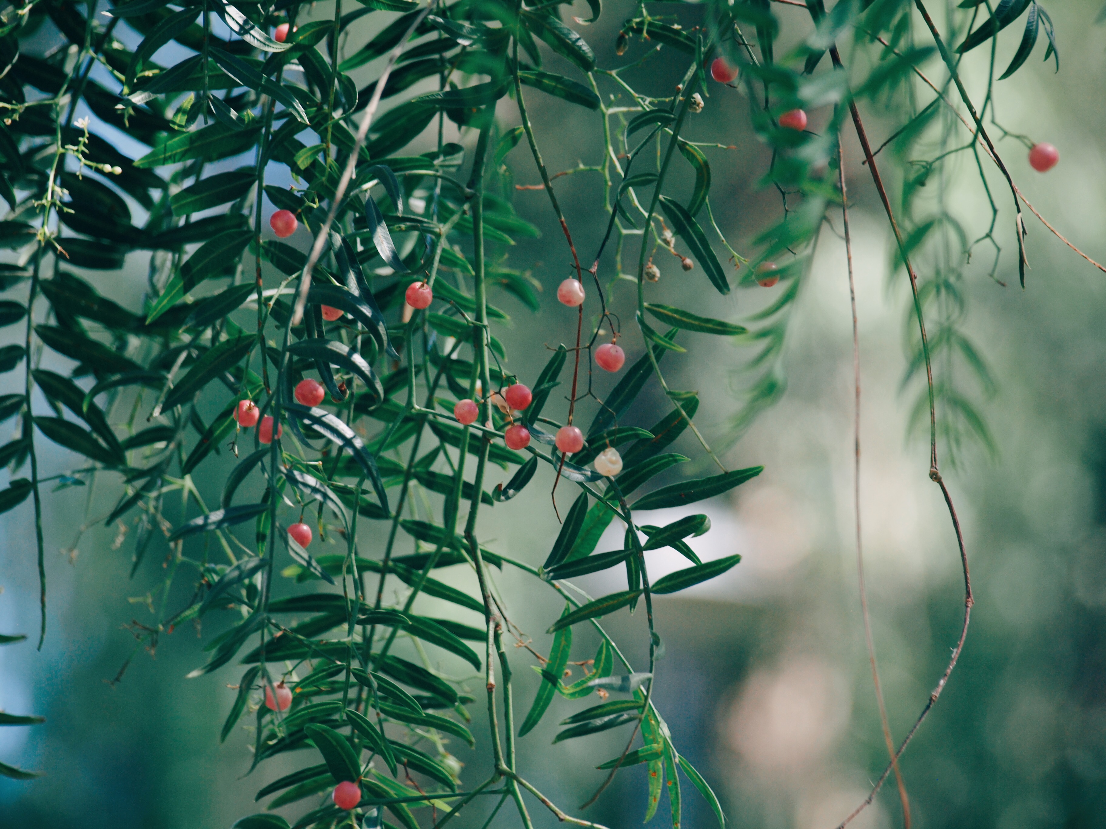 Processed with VSCO with e3 preset