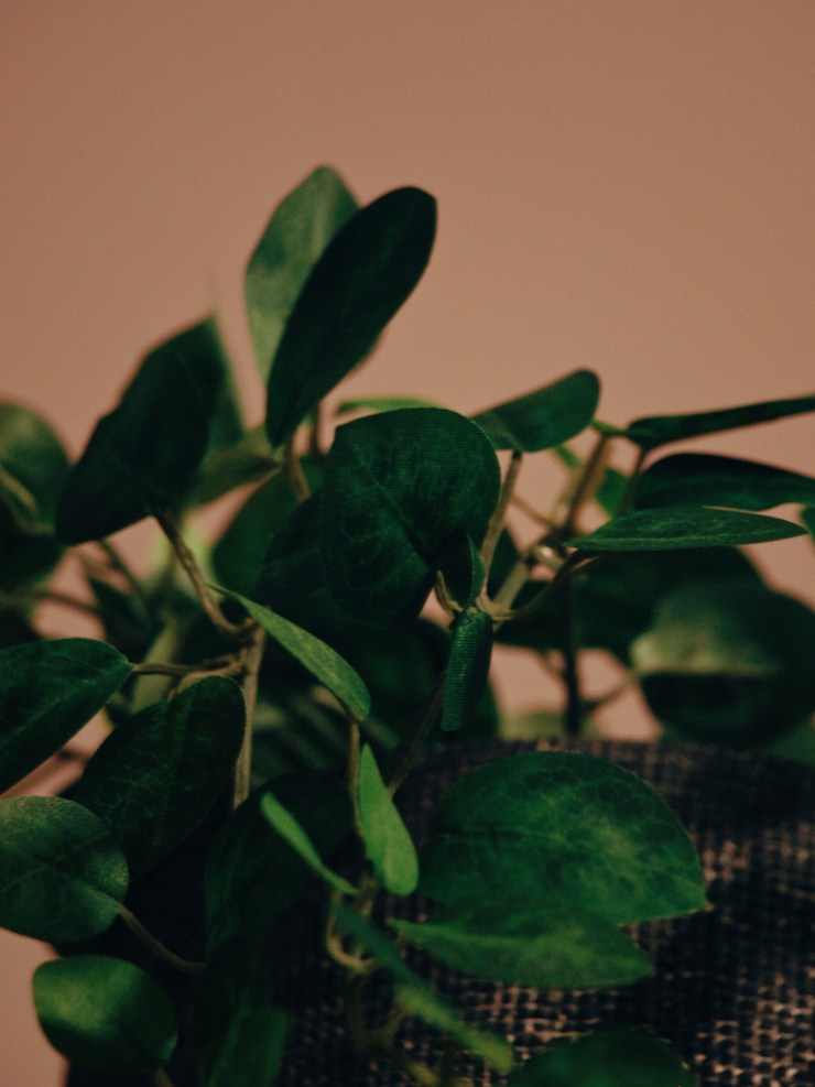 Processed with VSCO with e1 preset