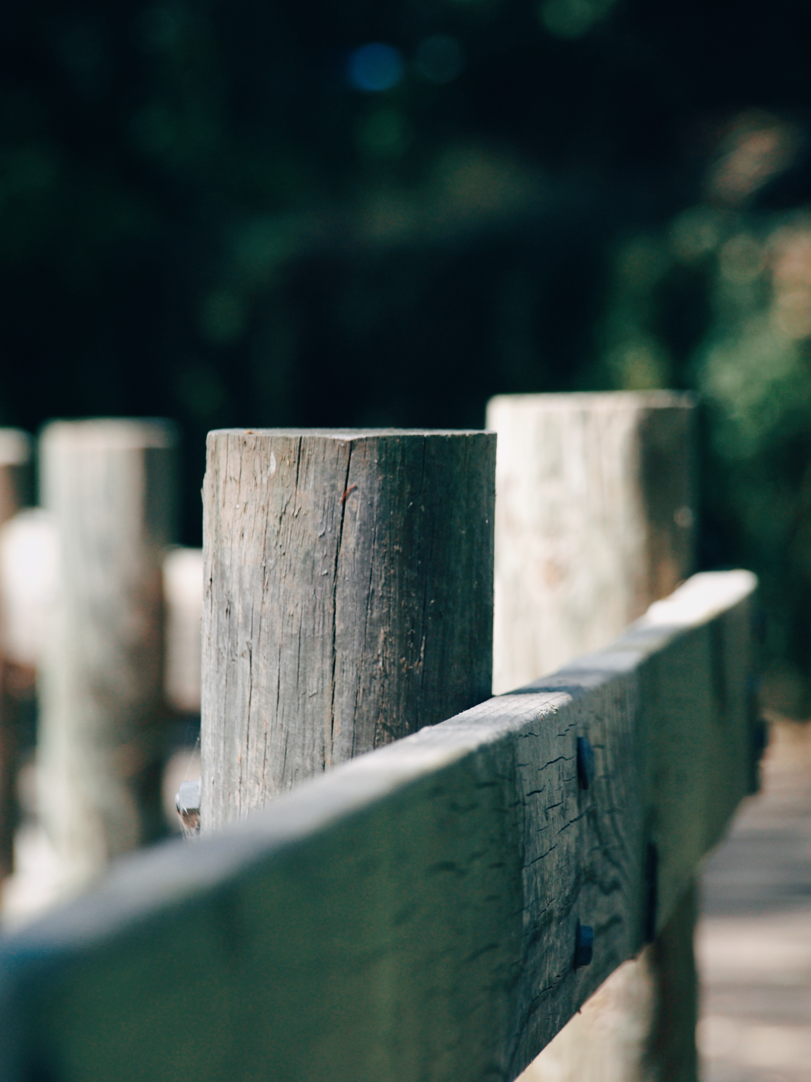 Processed with VSCO with e3 preset