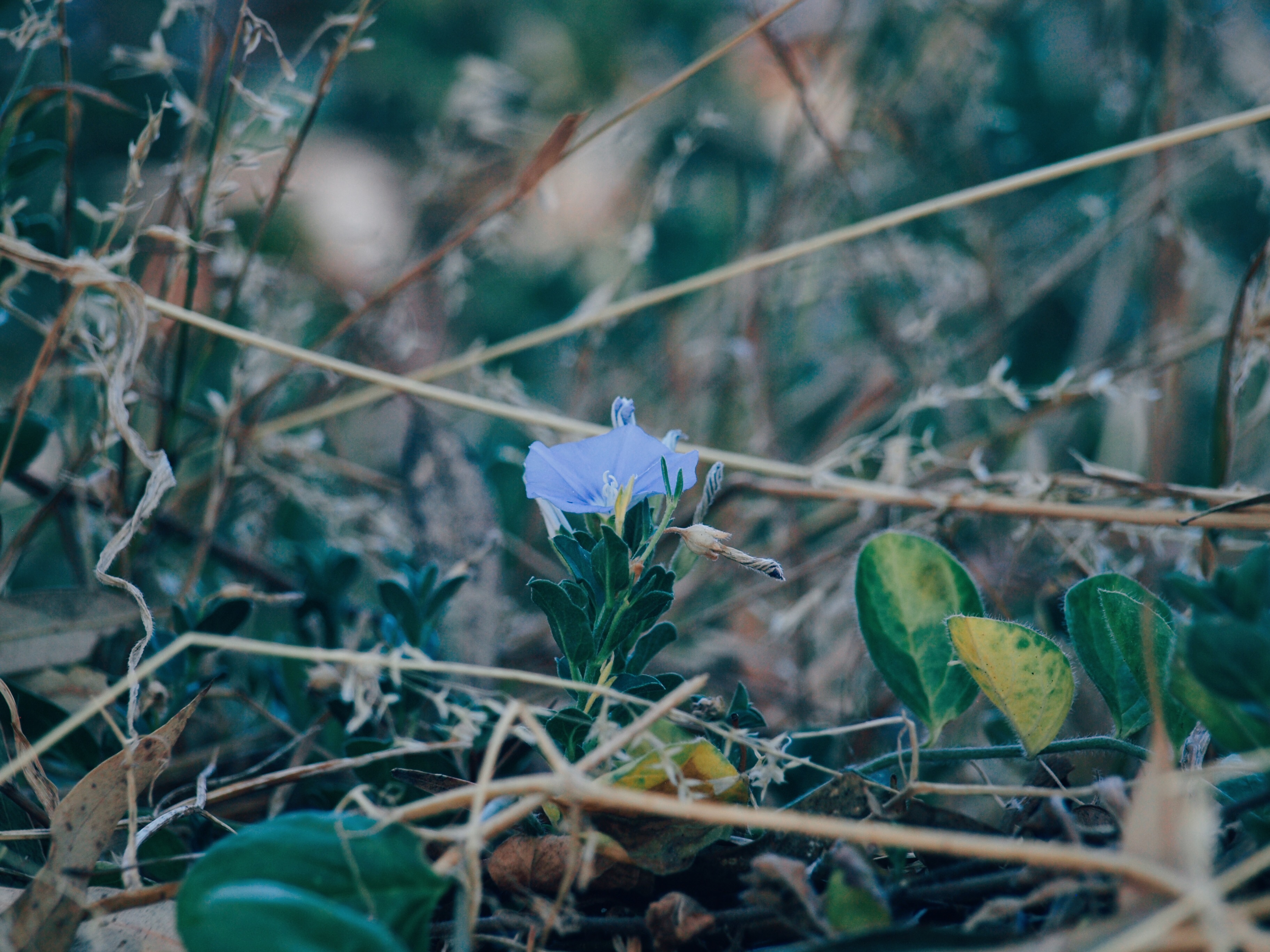 Processed with VSCO with e3 preset