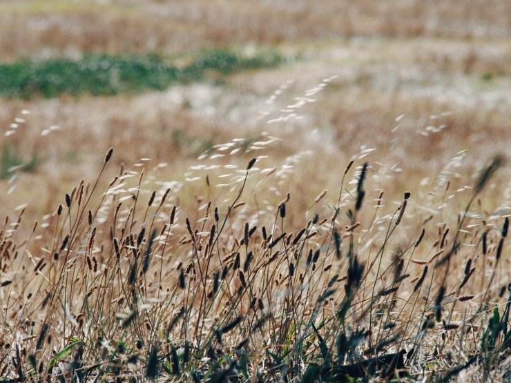 Processed with VSCO with e3 preset